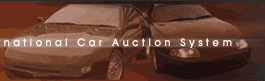 Internet car auctions